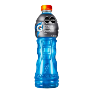 GATORADE MORA AZUL 6/750ML